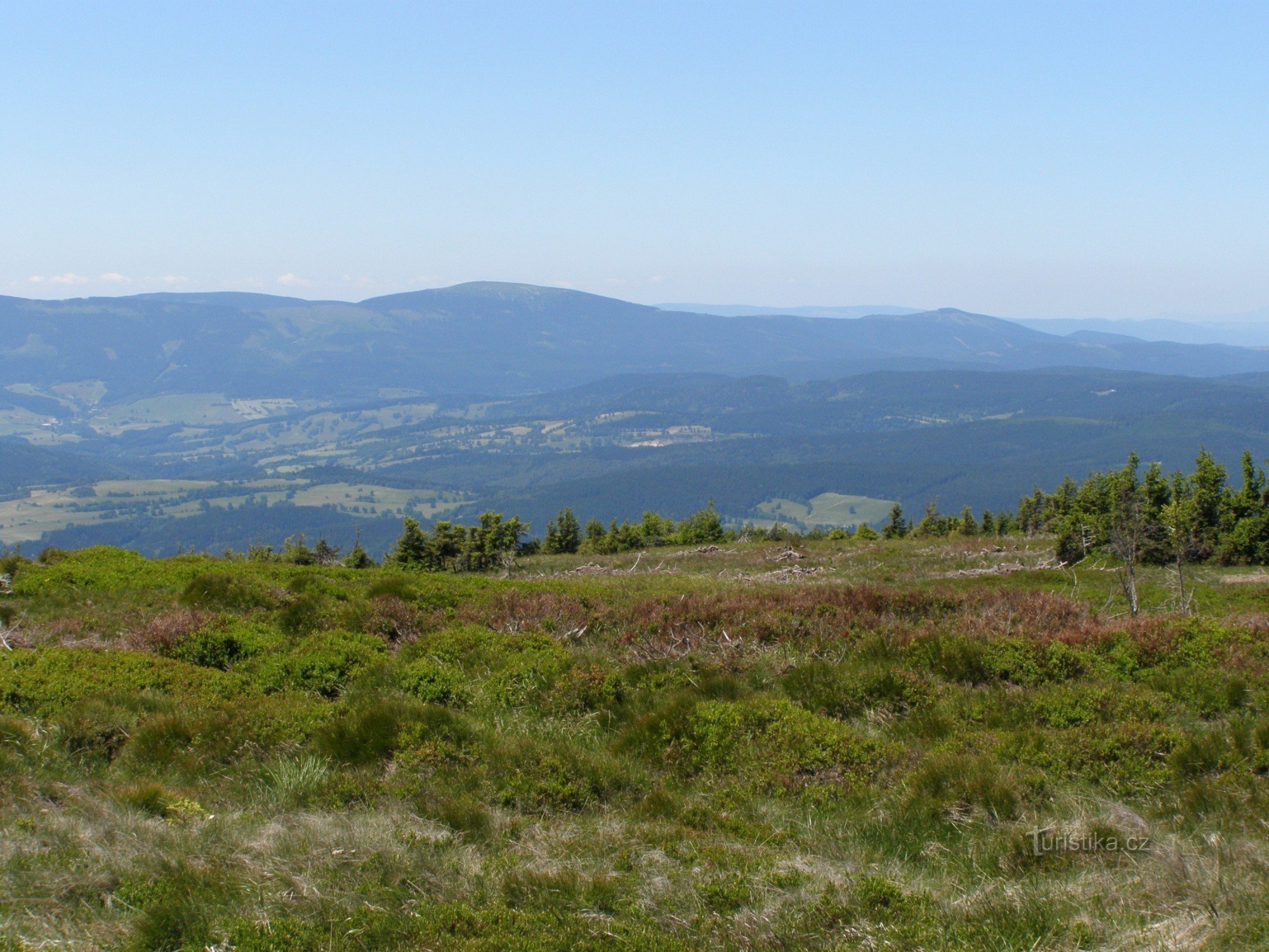 Kralické Sněžník 地块，在背景中 Orlická hora