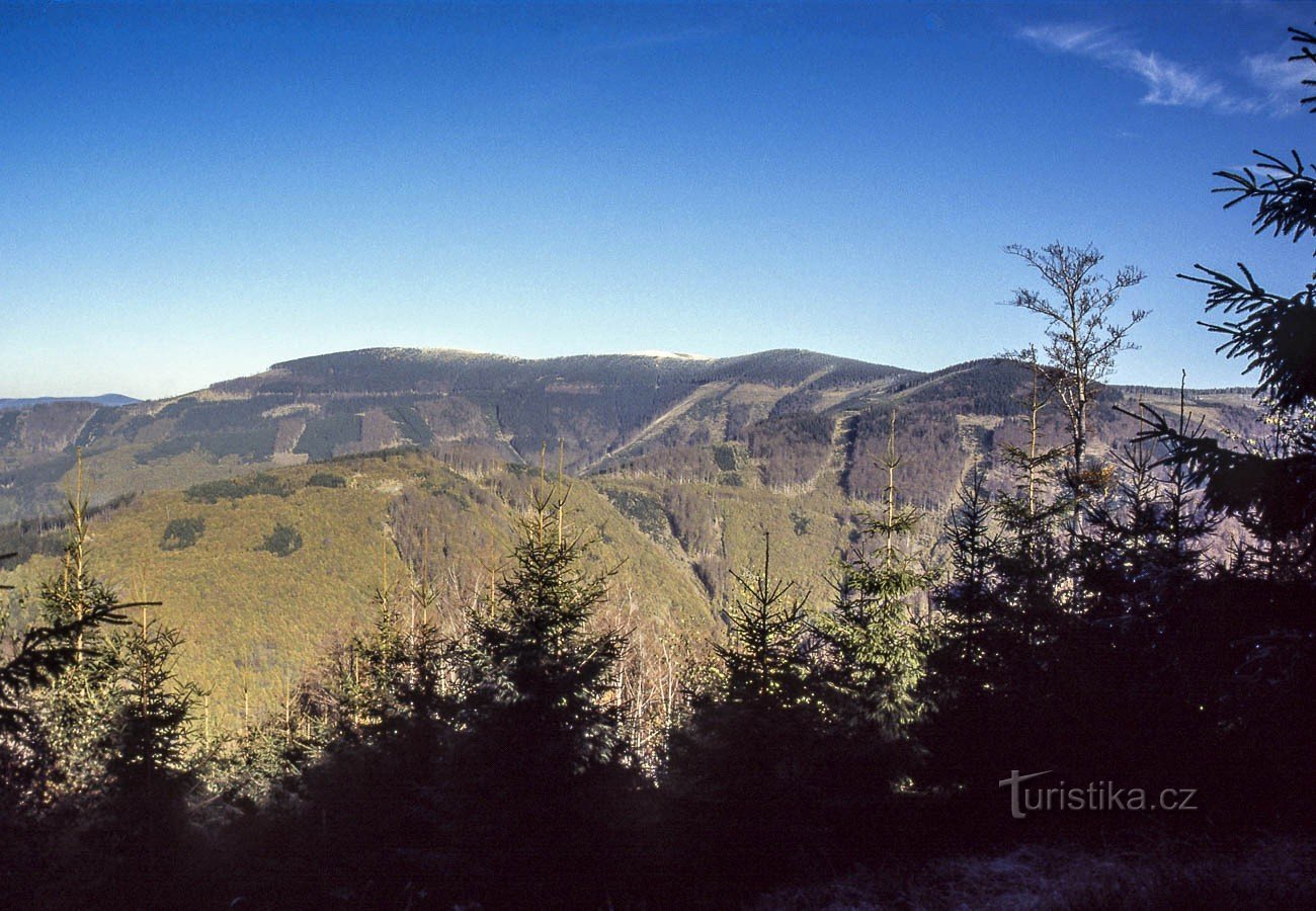 Mravenečník and Dluhy straní massifs