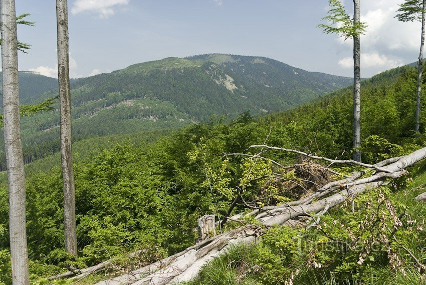 Masiv Vozky se Spáleným vrchem a Klínovou horou od Suché hory