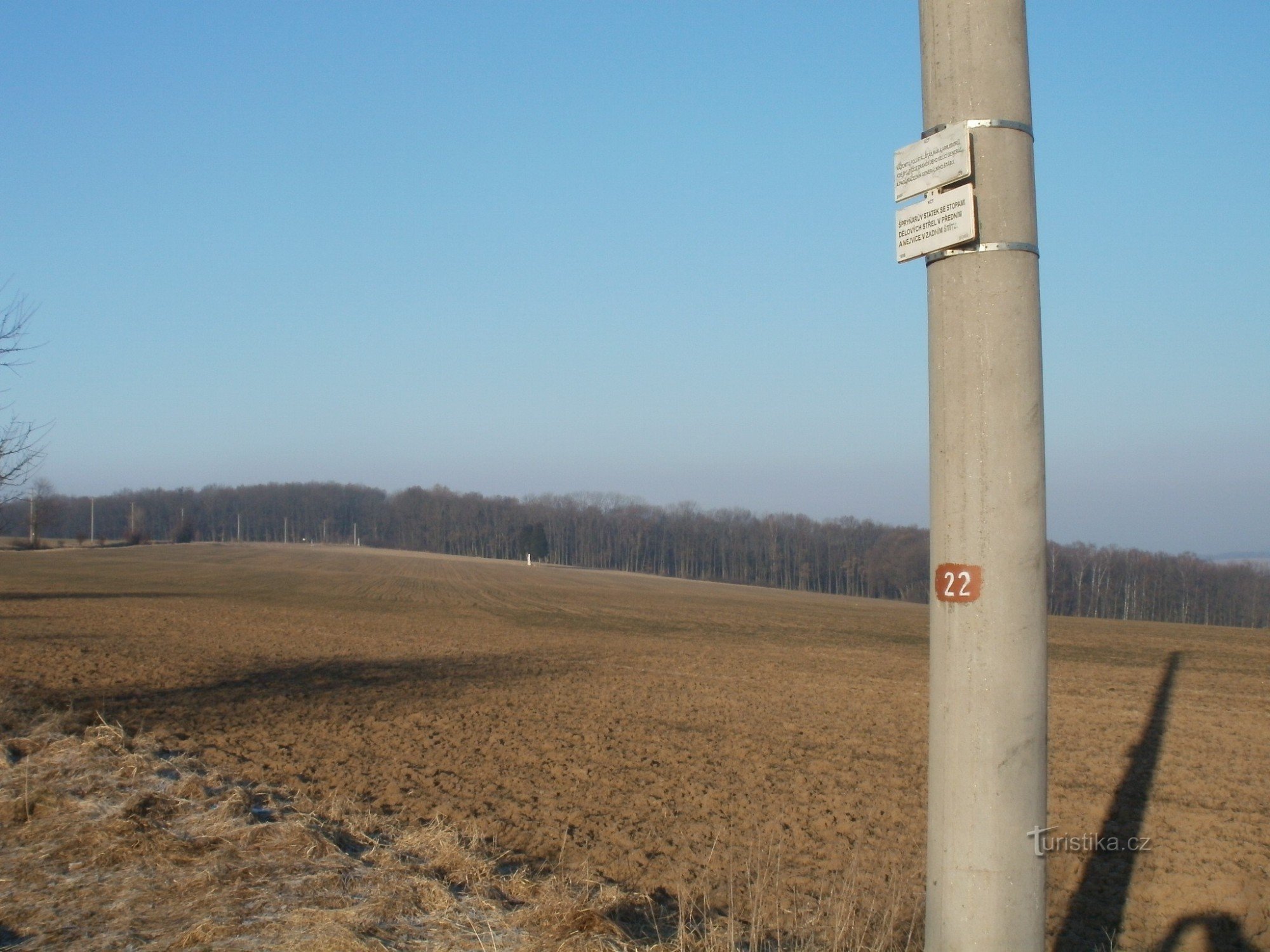 Máslojedy - Špriňarjevo posestvo, pogled na Svíbski gozd