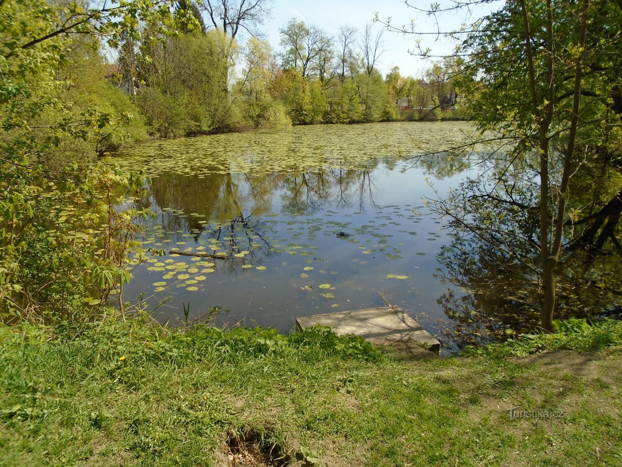 Matiční jezero (Pardubice, 20.4.2018)