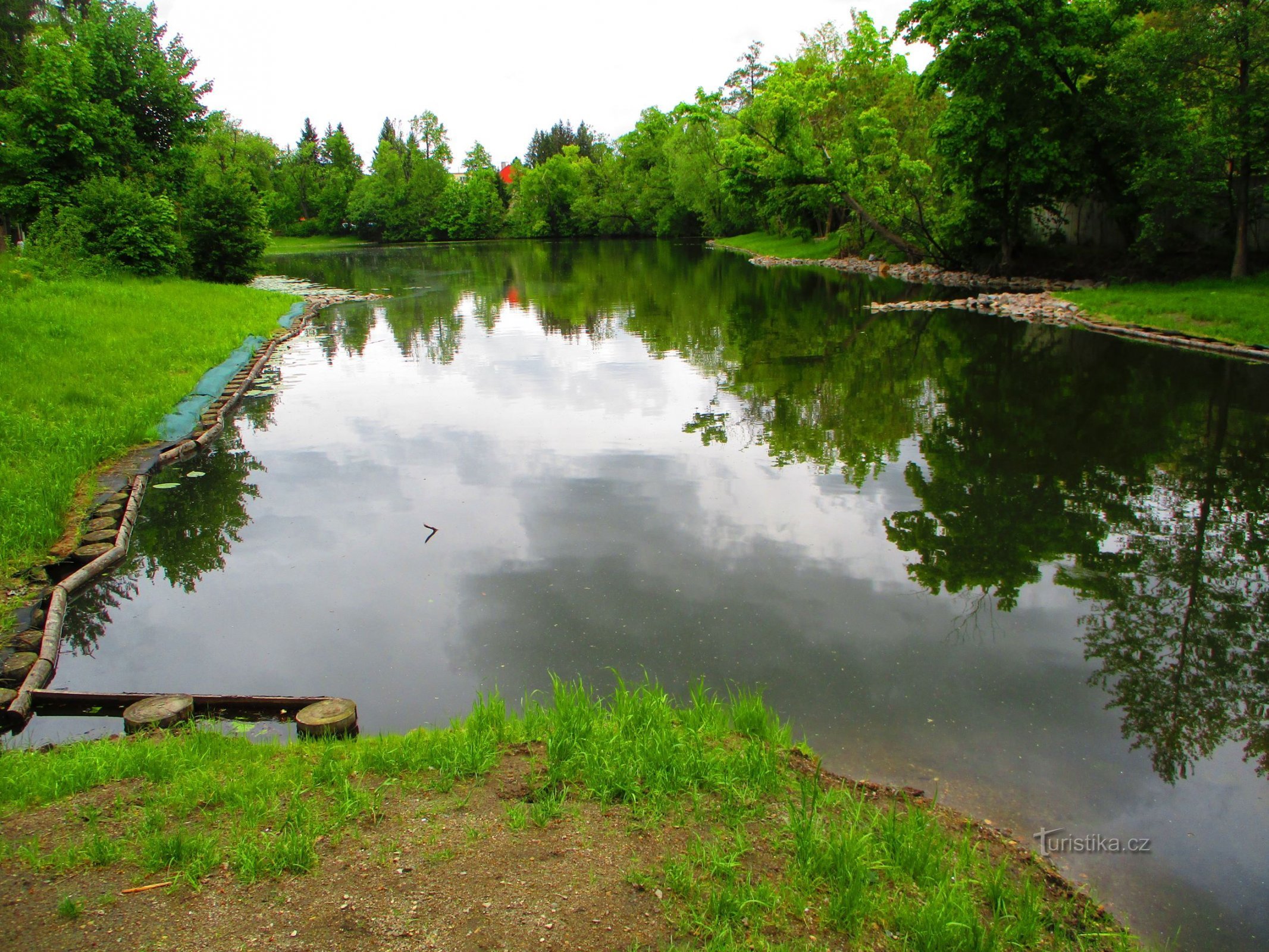 Lago Matiční (Pardubice, 25.5.2021/XNUMX/XNUMX)