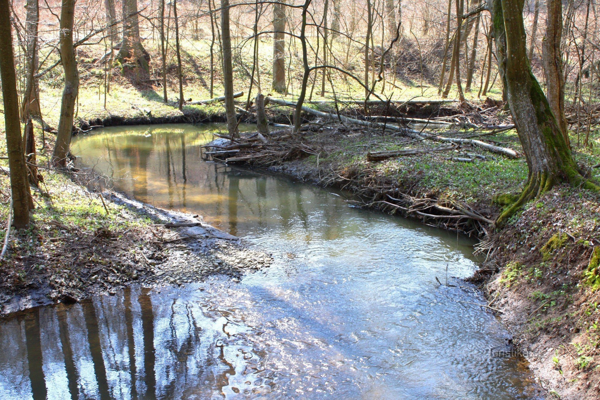 Mäandernder Fluss