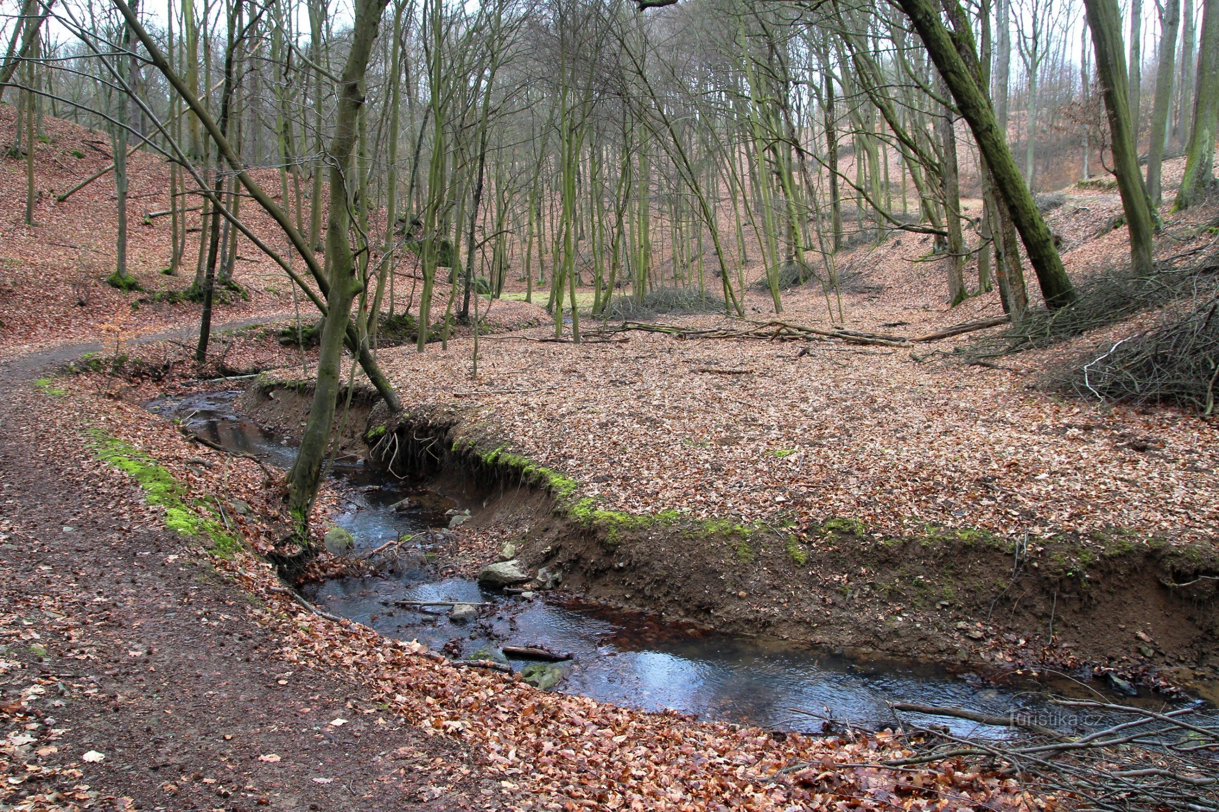 Le flux sinueux du ruisseau Augšperské