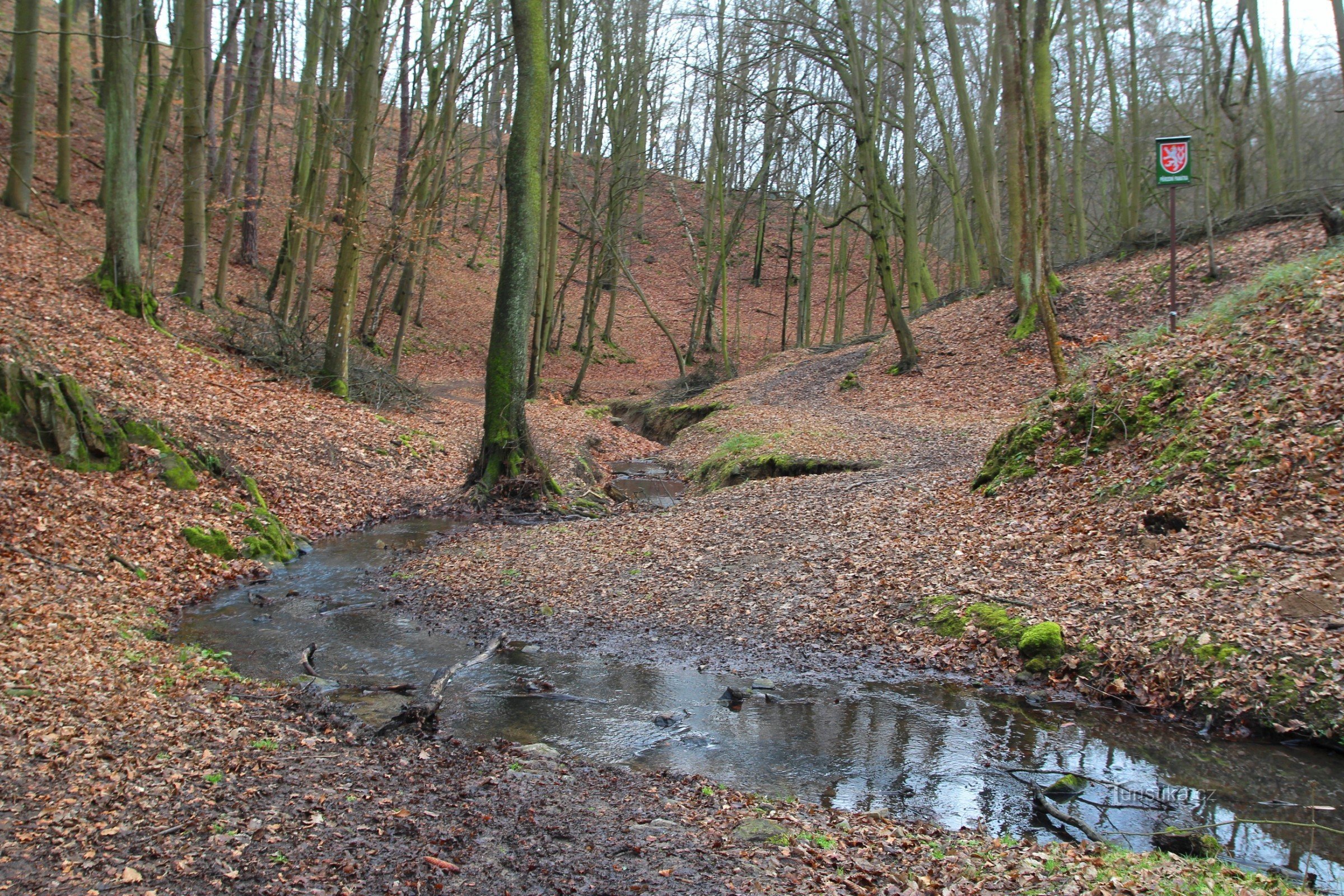 Meandrující tok Augšperského potoka na hranici chráněného území