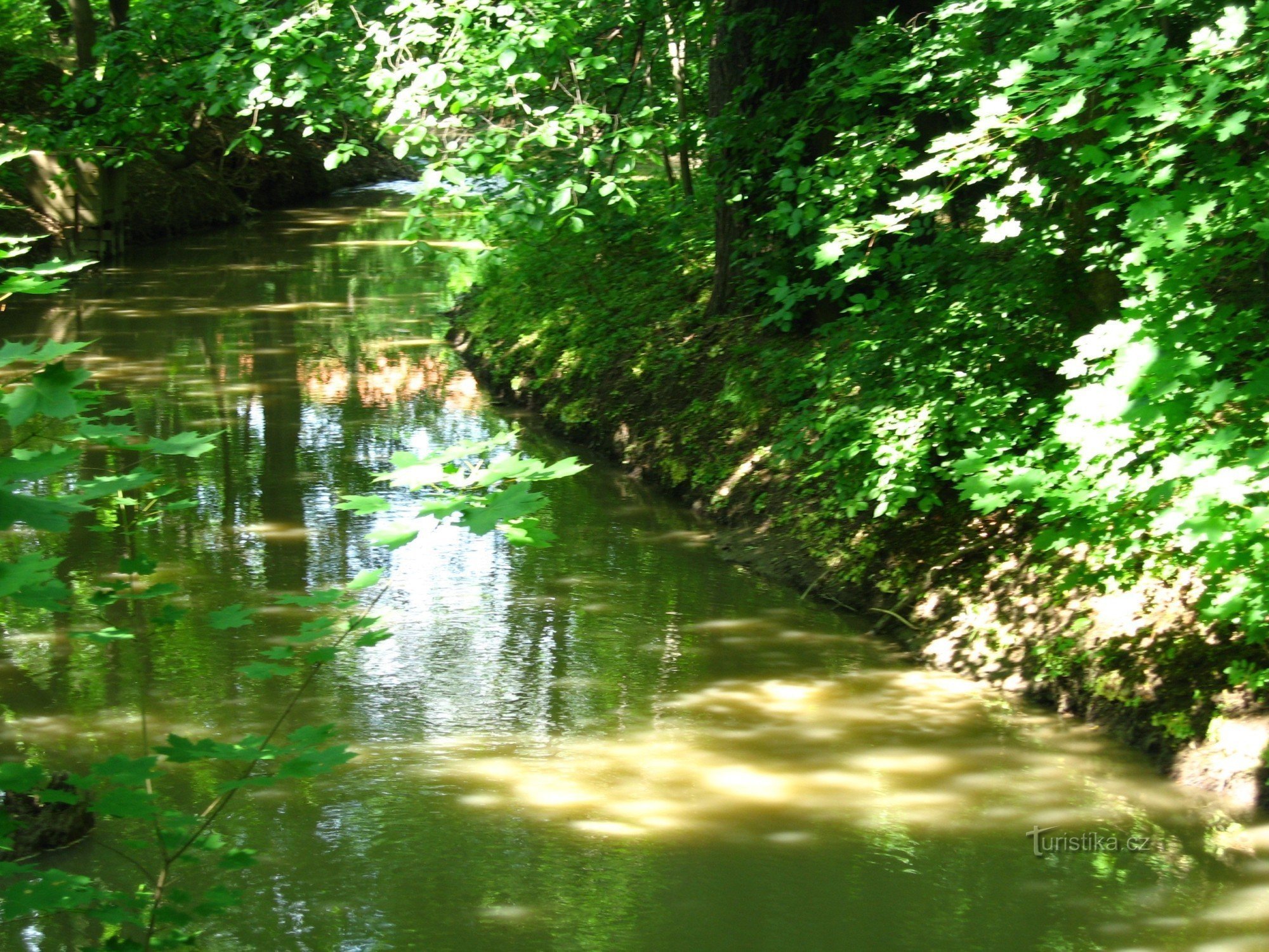 Slingor av Botiče och Hamerský rybník