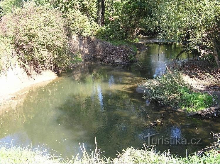 Meandry Lučin: Meandry Lučin - kolejny z meandrów