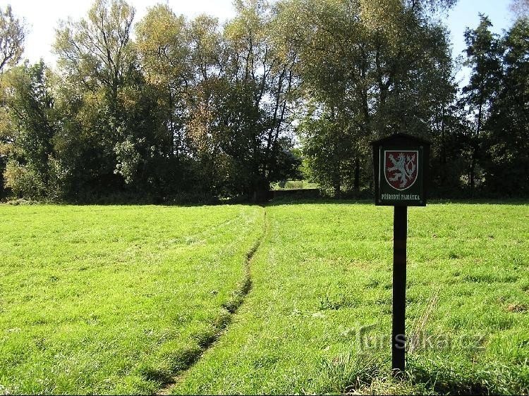 Mäander von Lučiny: Mäander von Lučiny - Tafel am Rande des Naturdenkmals