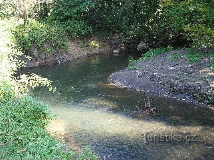 Mäander von Lučiny: Mäander von Lučiny - ein Beispiel für einen mäandrierenden Fluss