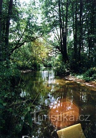 Meanders of Lužnice