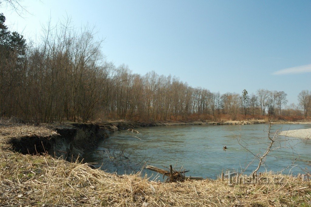 Meanders of the Oder