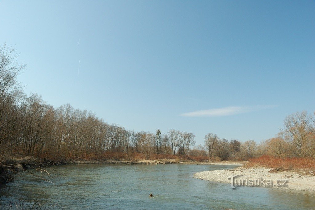 Meanders of the Oder