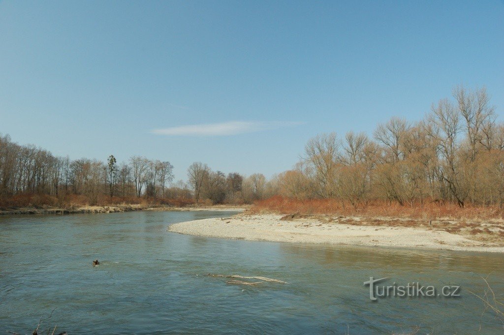 Meanders of the Oder