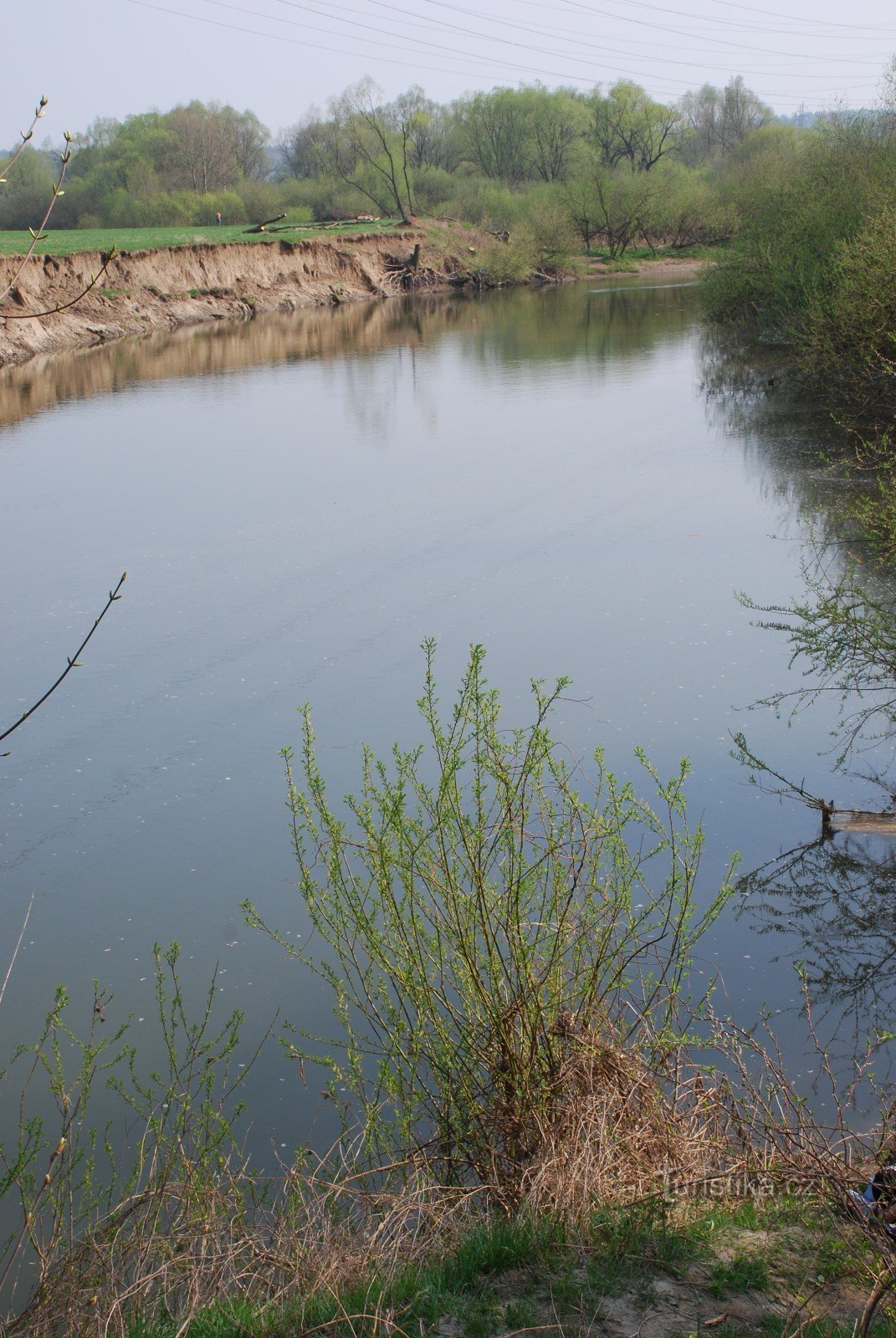 Meanders of the Odra at NPR Polanská niva