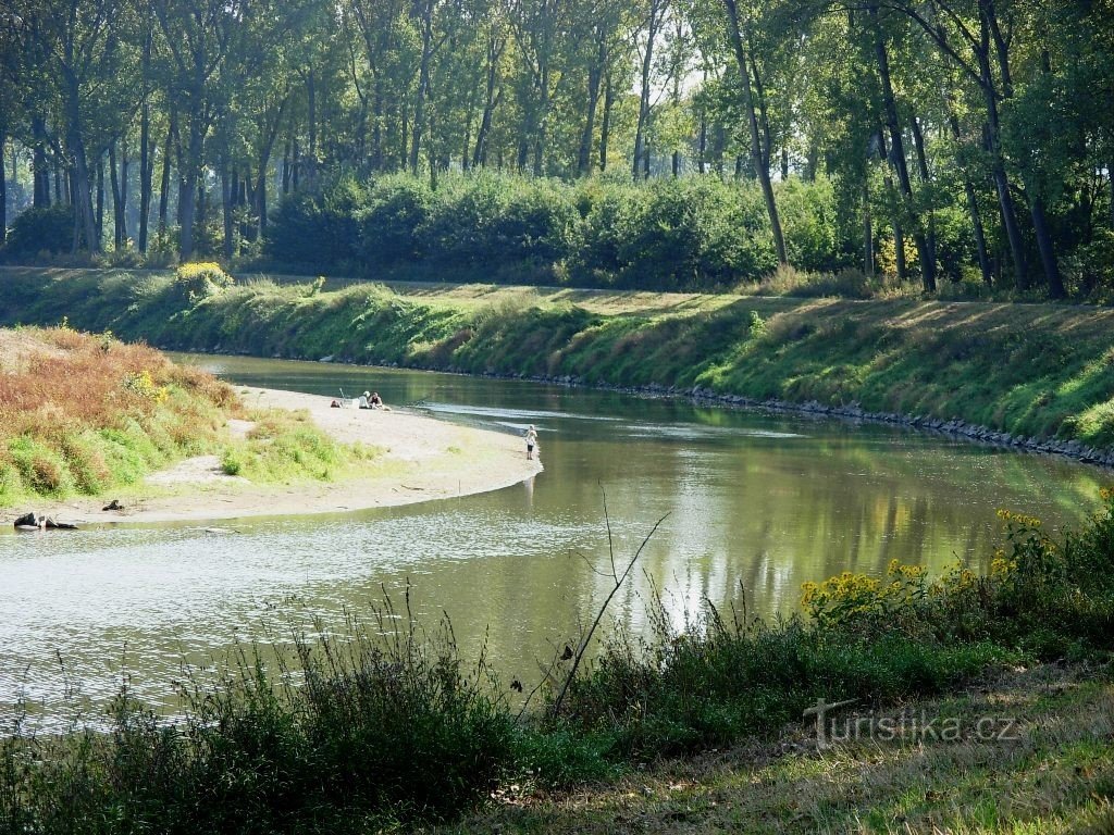 Meanders van de Morava-rivier