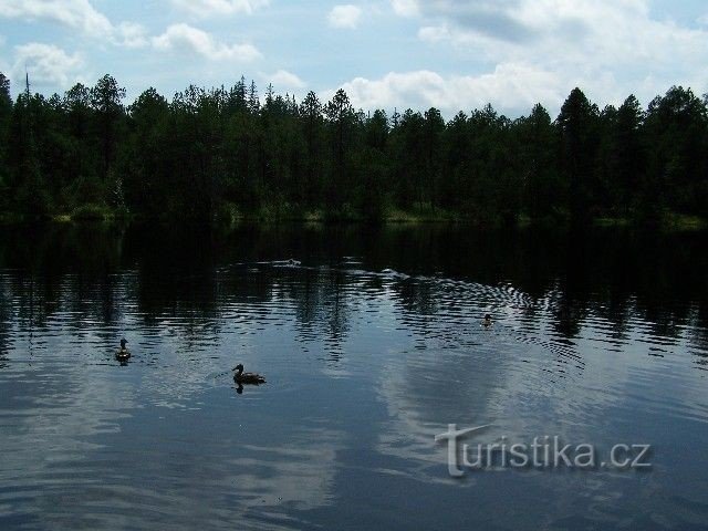 Moha tó