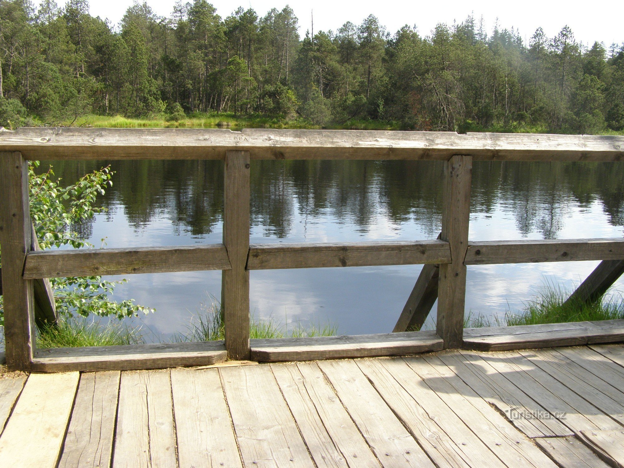 Bassin de mousse