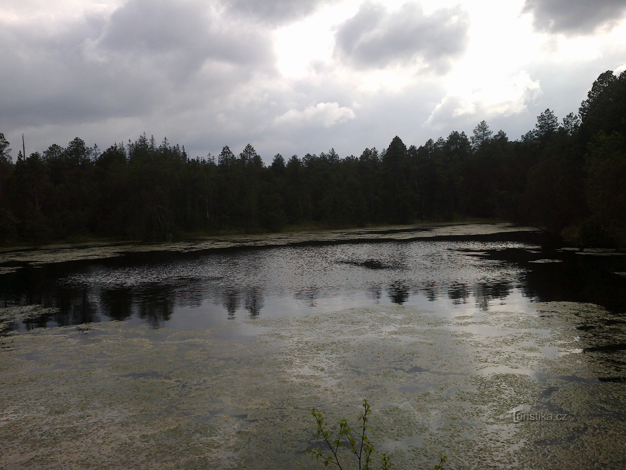 Jezero mahovina - Rejvíz.