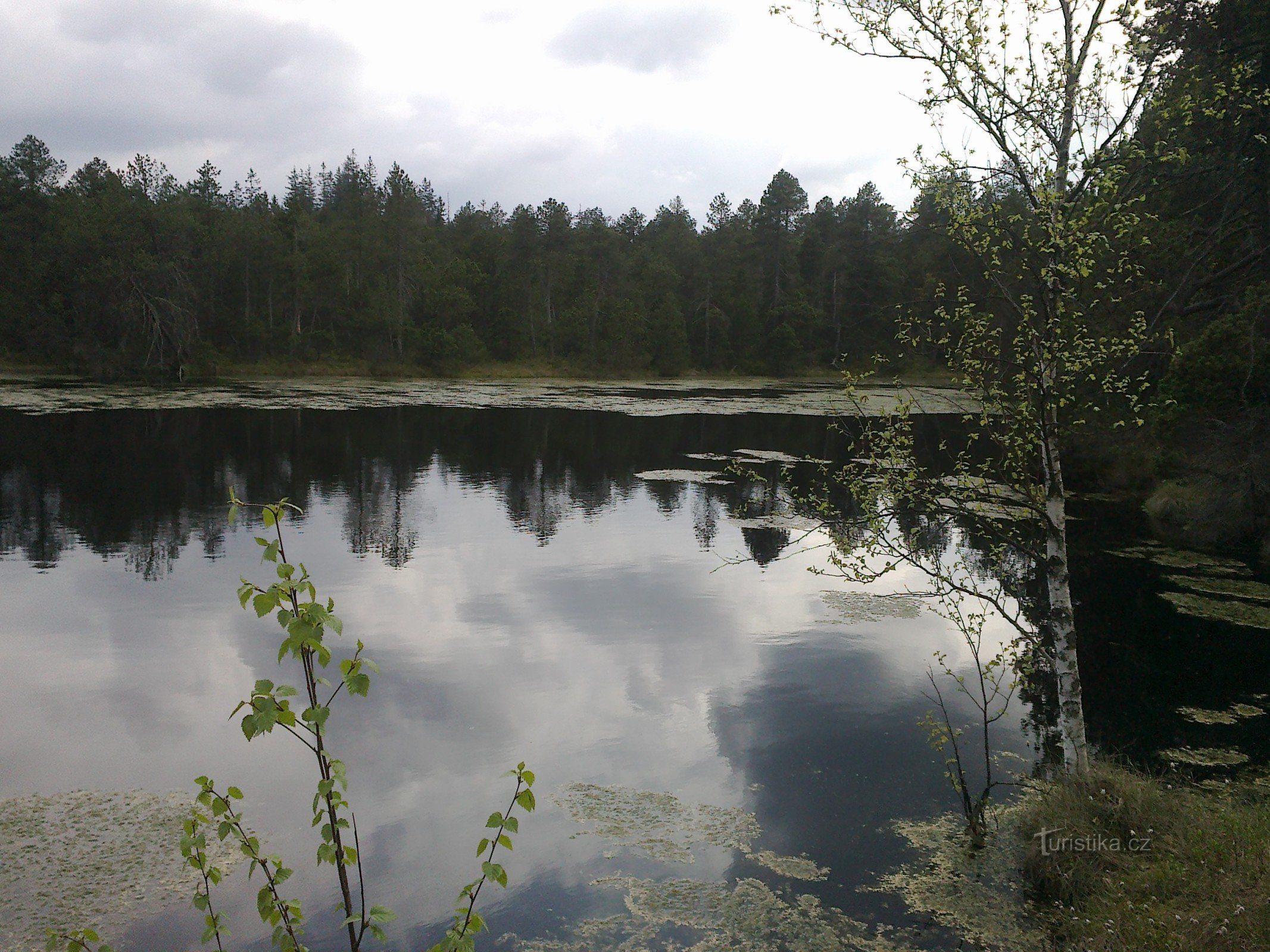 Moss lake - Rejvíz.