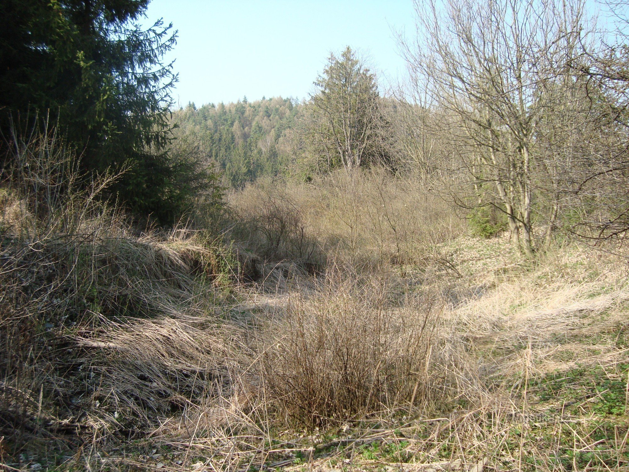 Medlice-částečně zasypaný hradní příkop-Foto:Ulrych Mir.