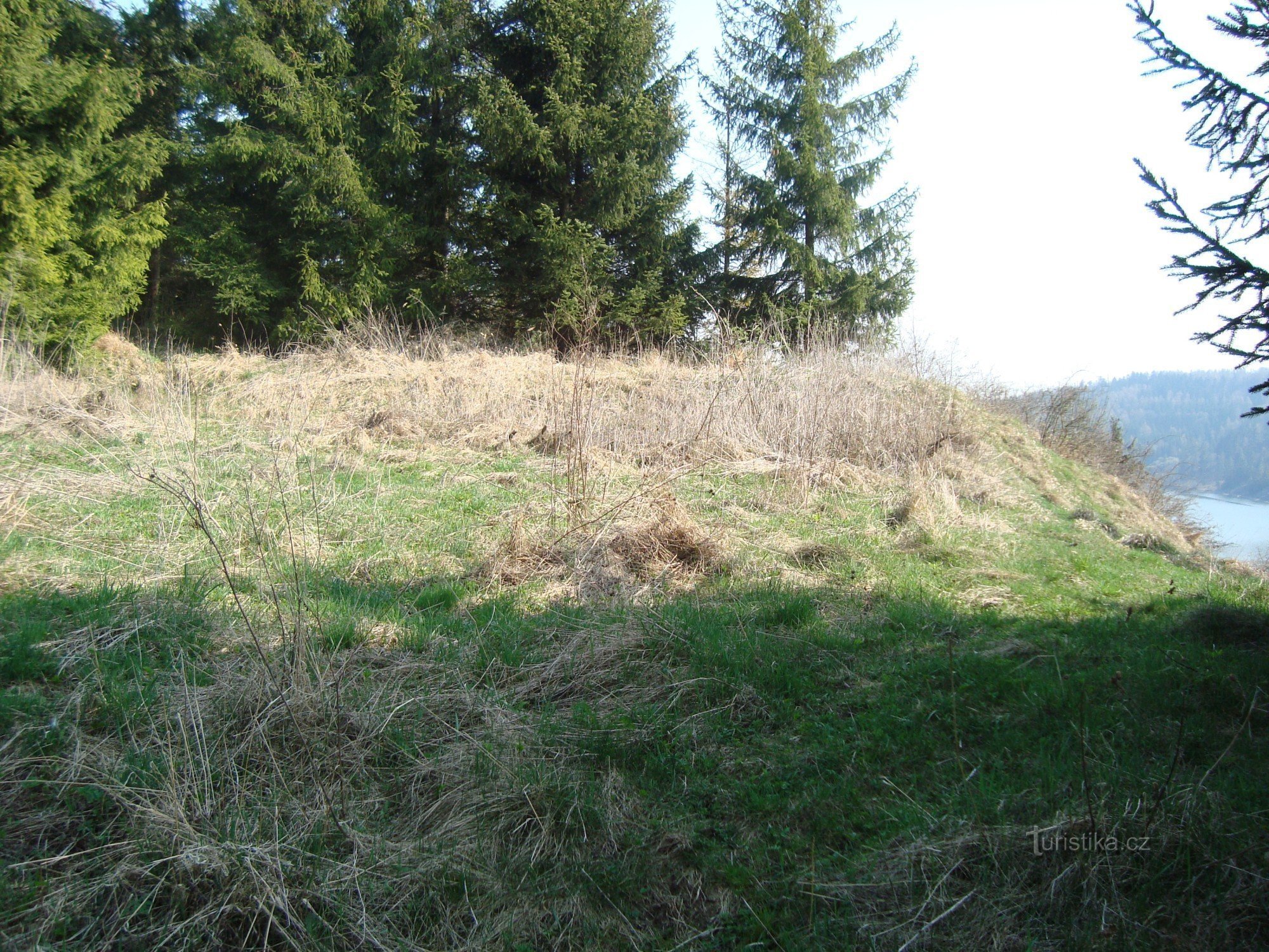 Medlice - castle core from the west - Photo: Ulrych Mir.