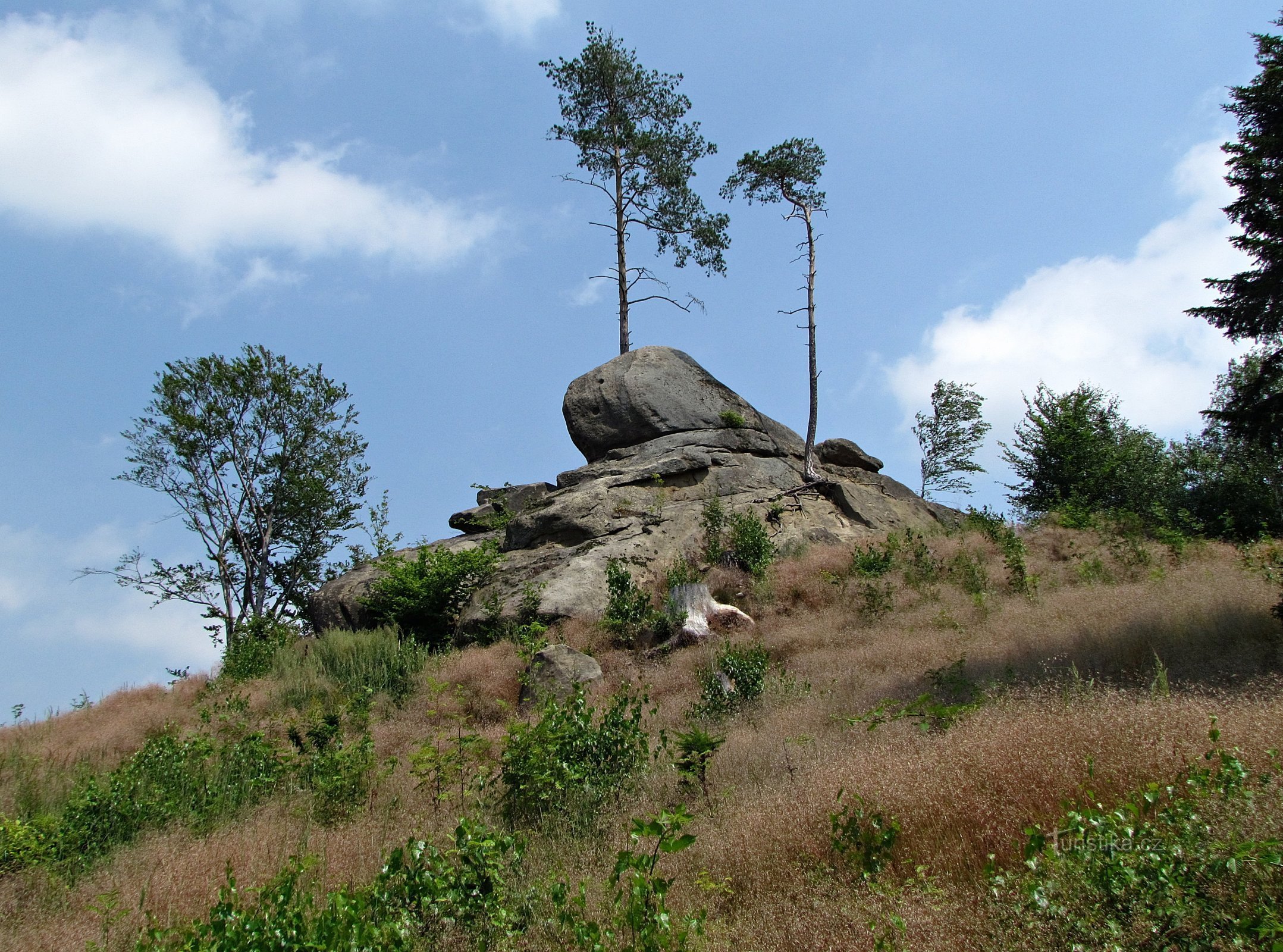 Kamperfoelie - Skypal Rock