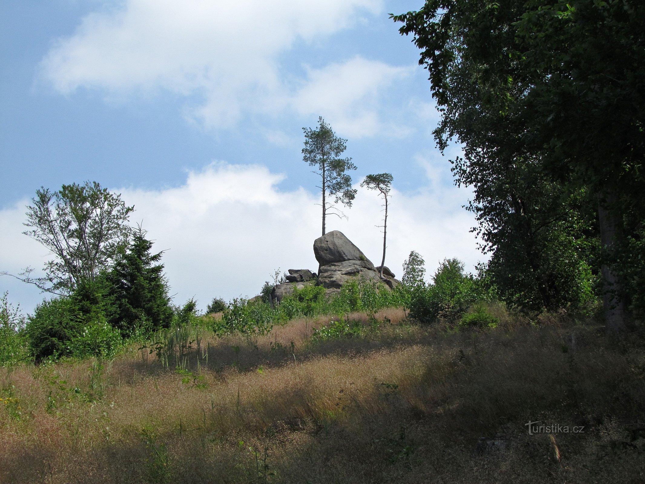 Geißblatt - Skypal Rock