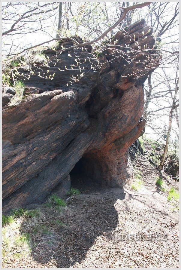 guarida del oso