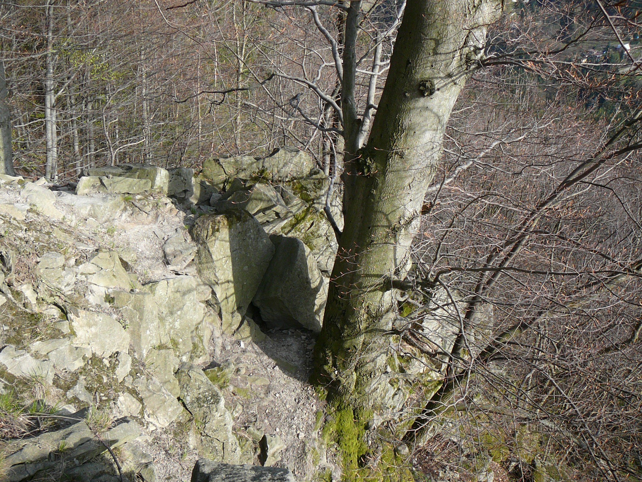 Medvedje luknje