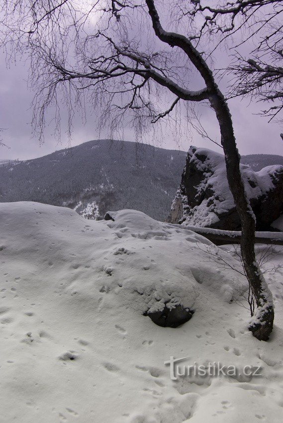 Medvjed planina