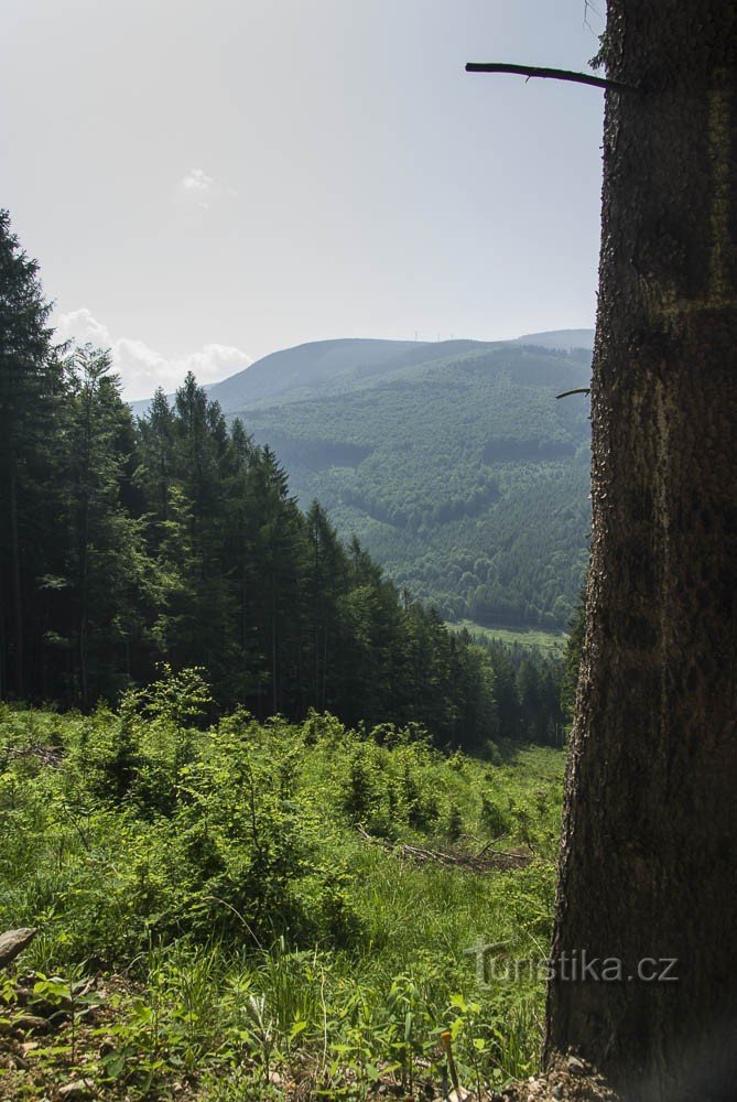 Montagna dell'orso