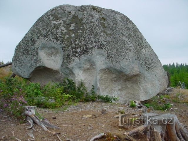 Sentier des ours