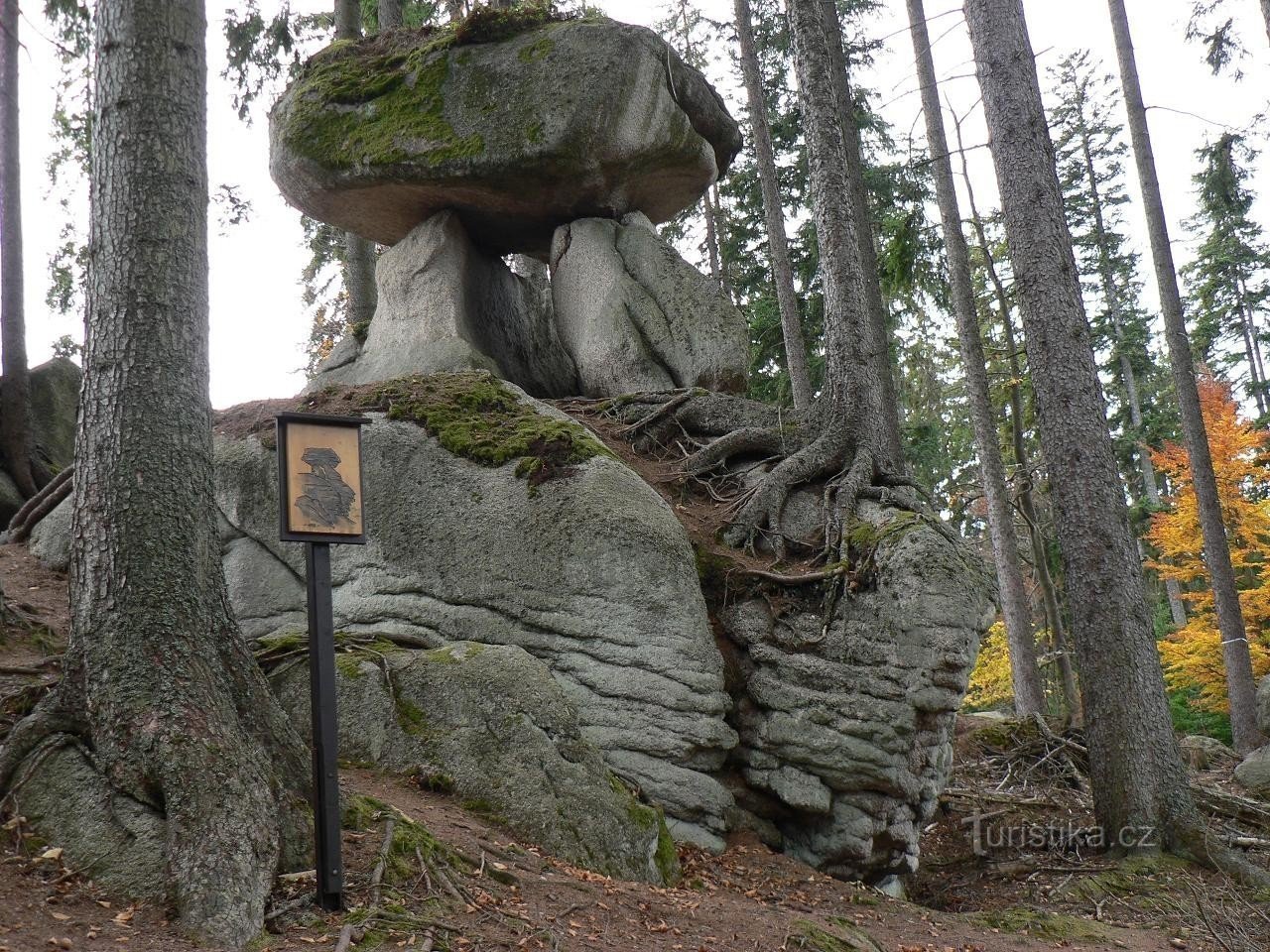 Sentier de l'ours, champignon de pierre