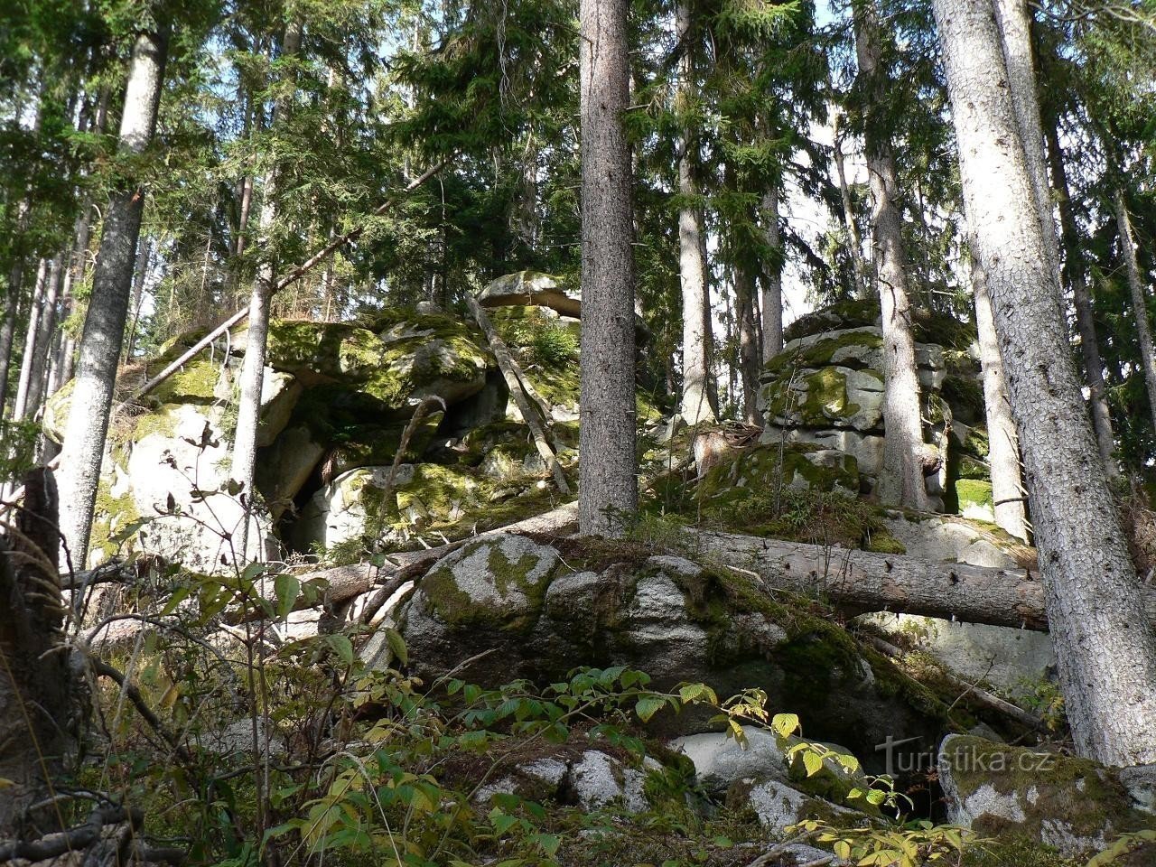 Karhupolku, polun alussa kiviä