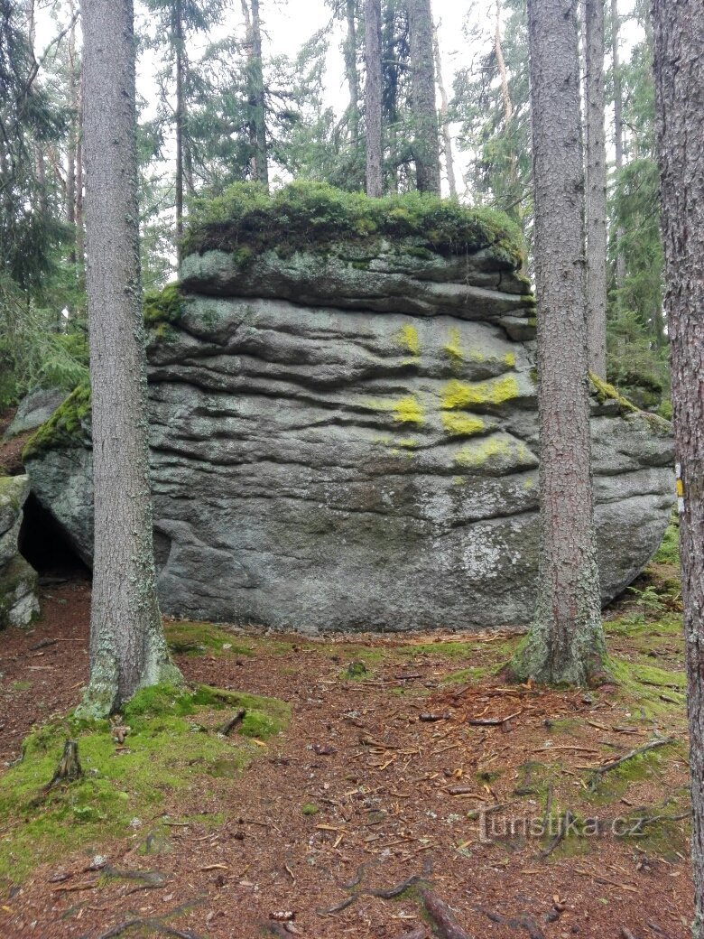 Le sentier de l'ours d'Ovesná à Černý Kříž