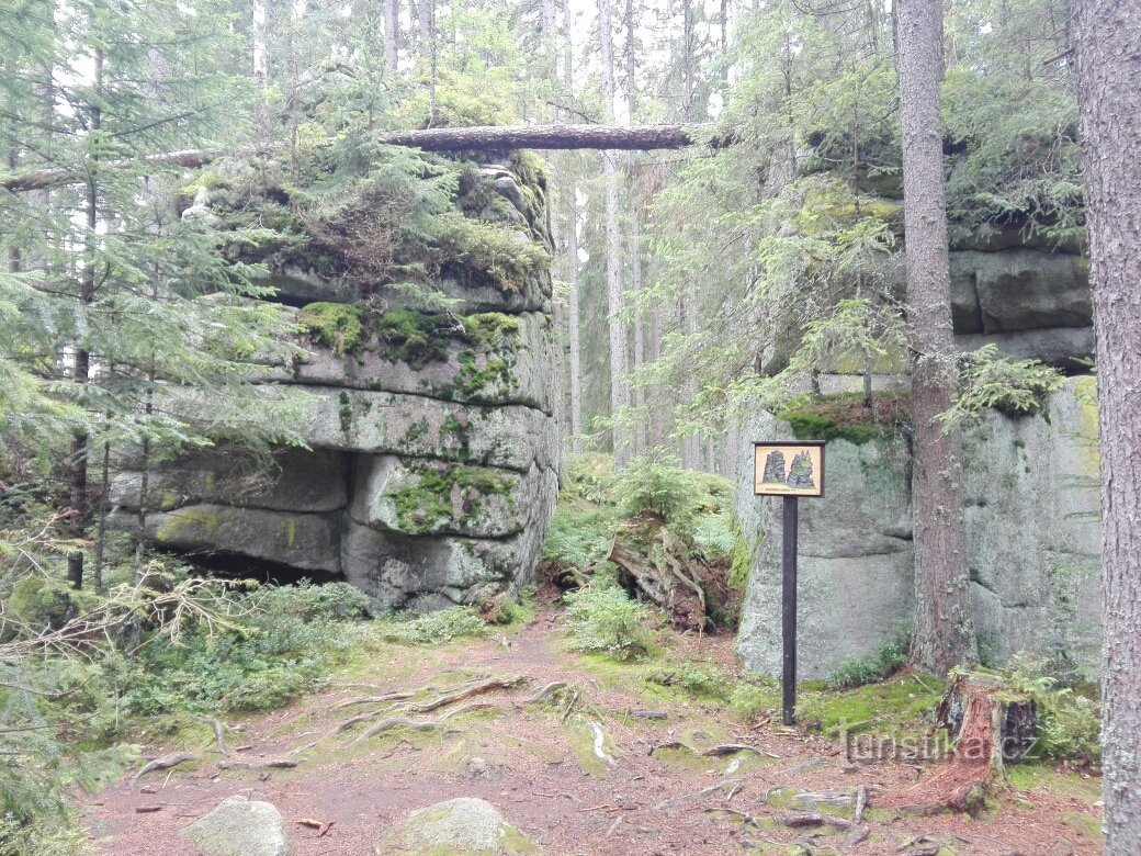 A trilha do urso de Ovesná a Černý Kříž