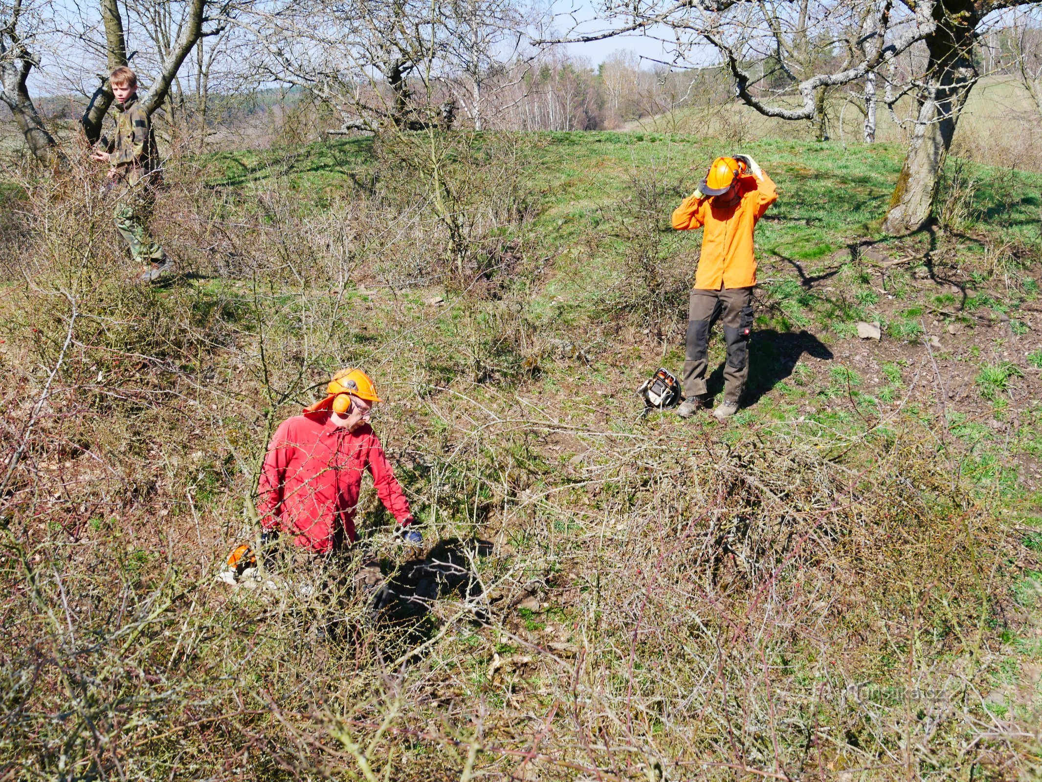 Mělník erőd metszése c) ČSOP