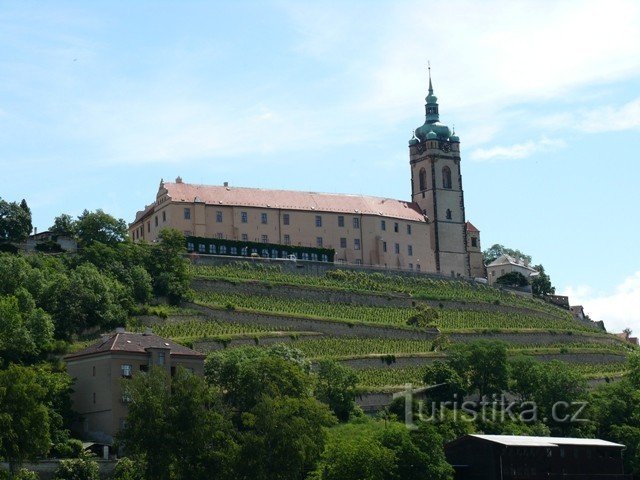 Mělnický zámek s vinicemi a věží chrámu sv. Petra a Pavla