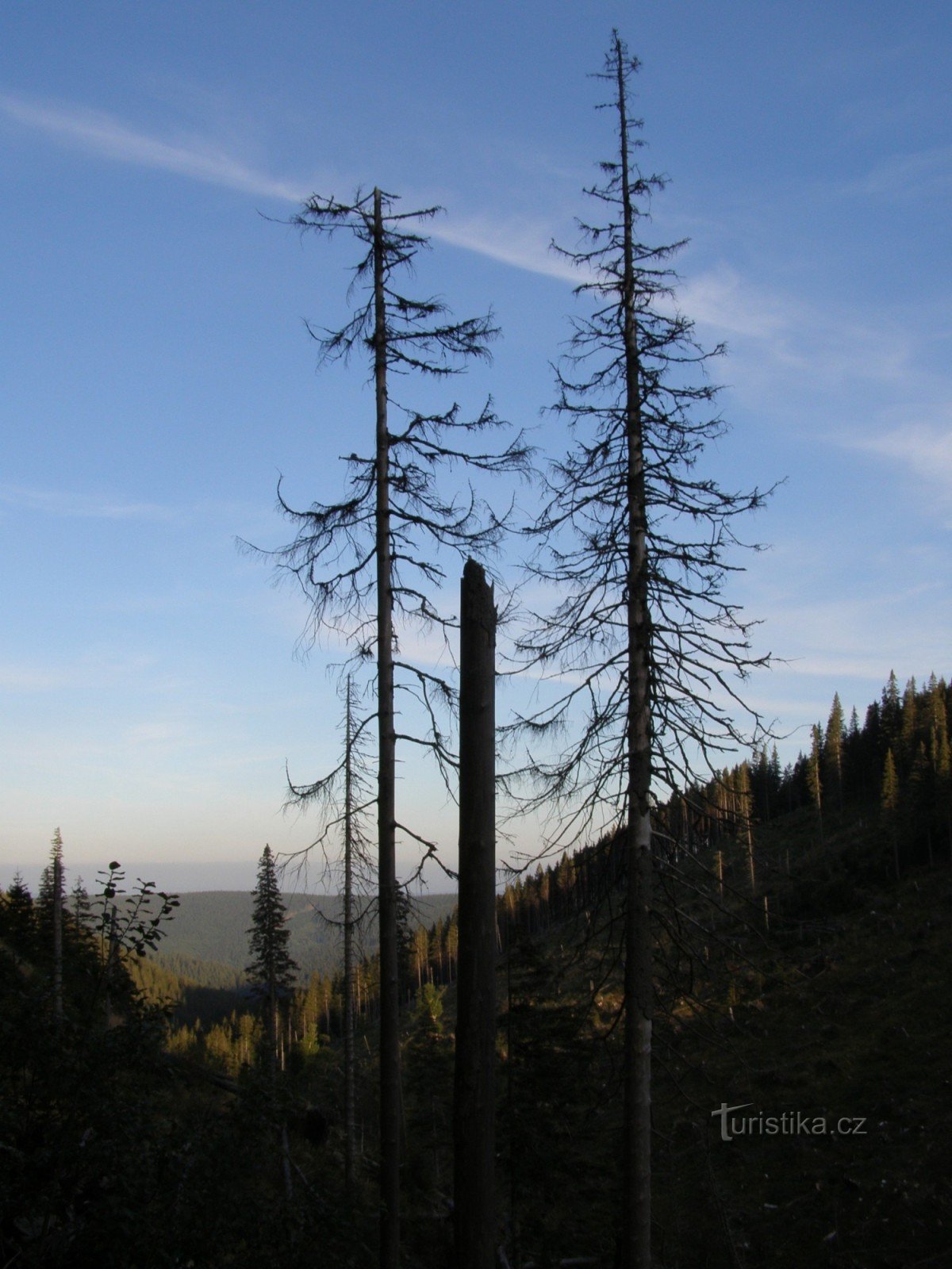 muisto myrskyn jälkeen