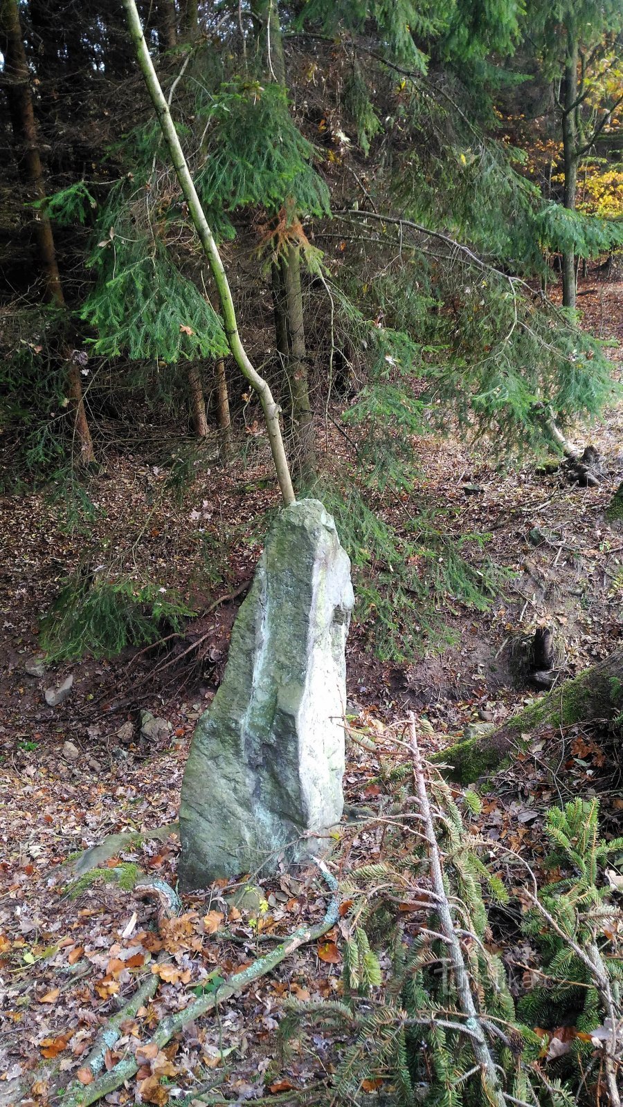 menhir