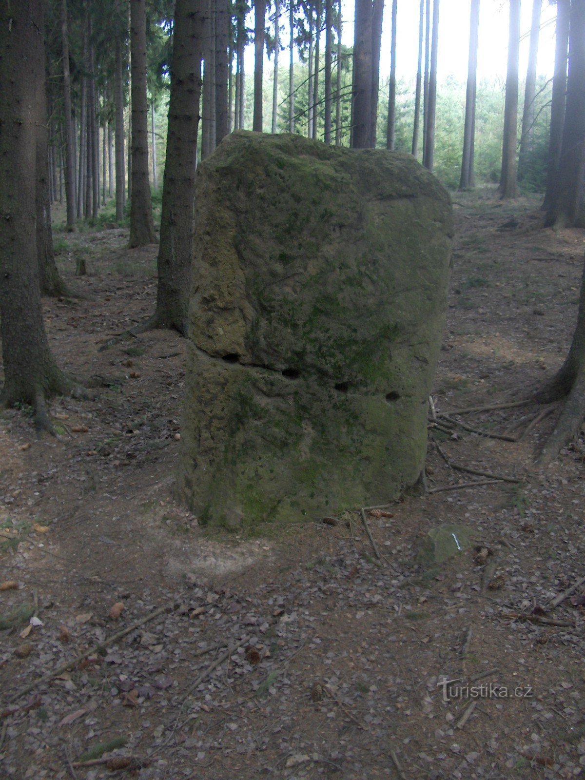 Menhir Belge