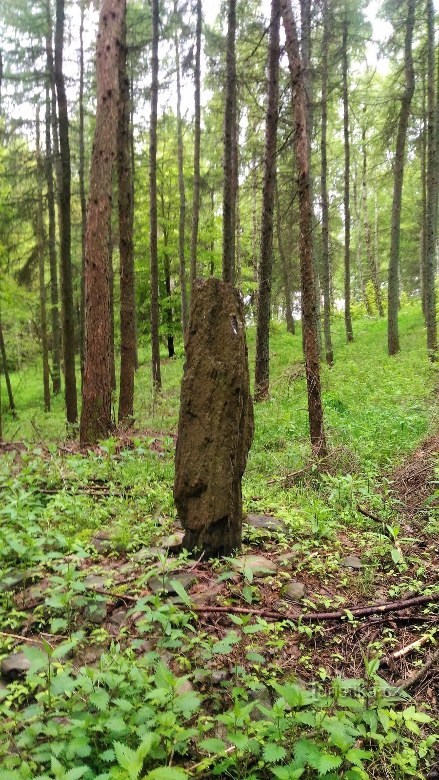 Menhir Orasín