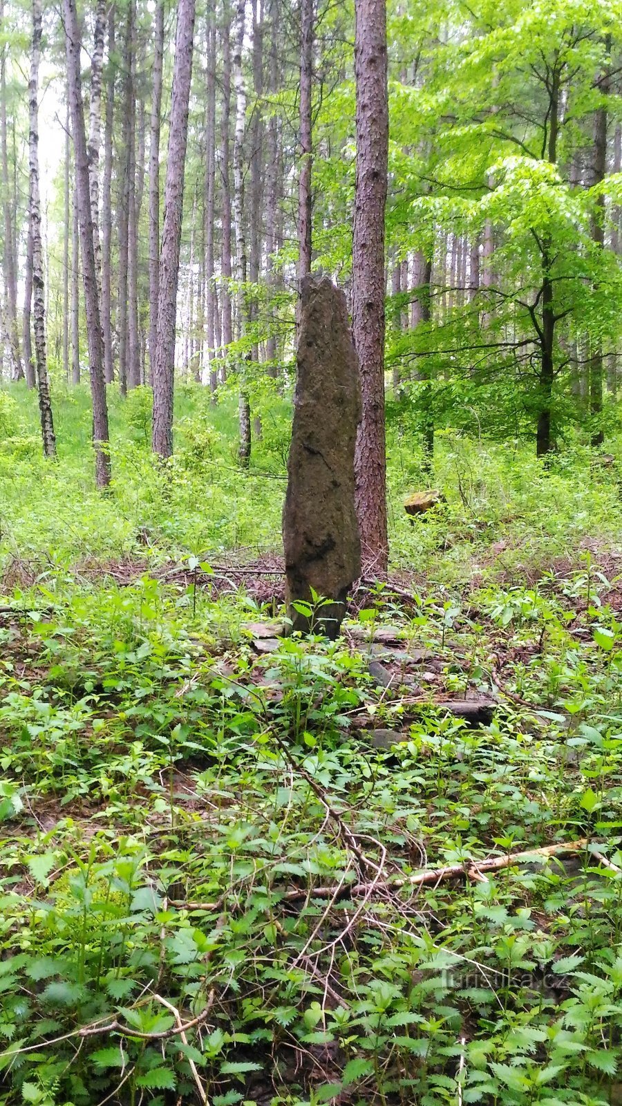 Menhir Orassin