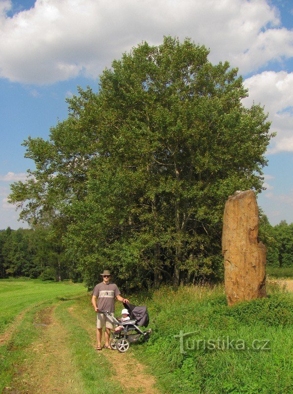 Menhir nära Sedletín