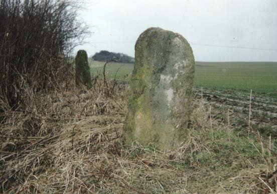 Menhirs κοντά στο Přelíce