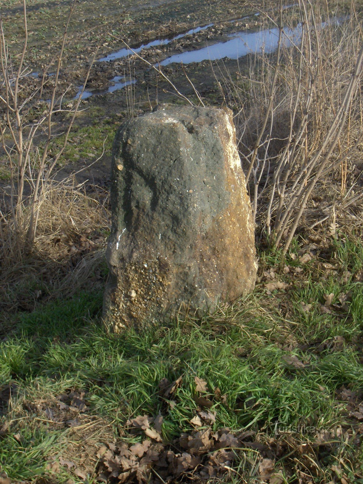 Menhirs nær Přelíce