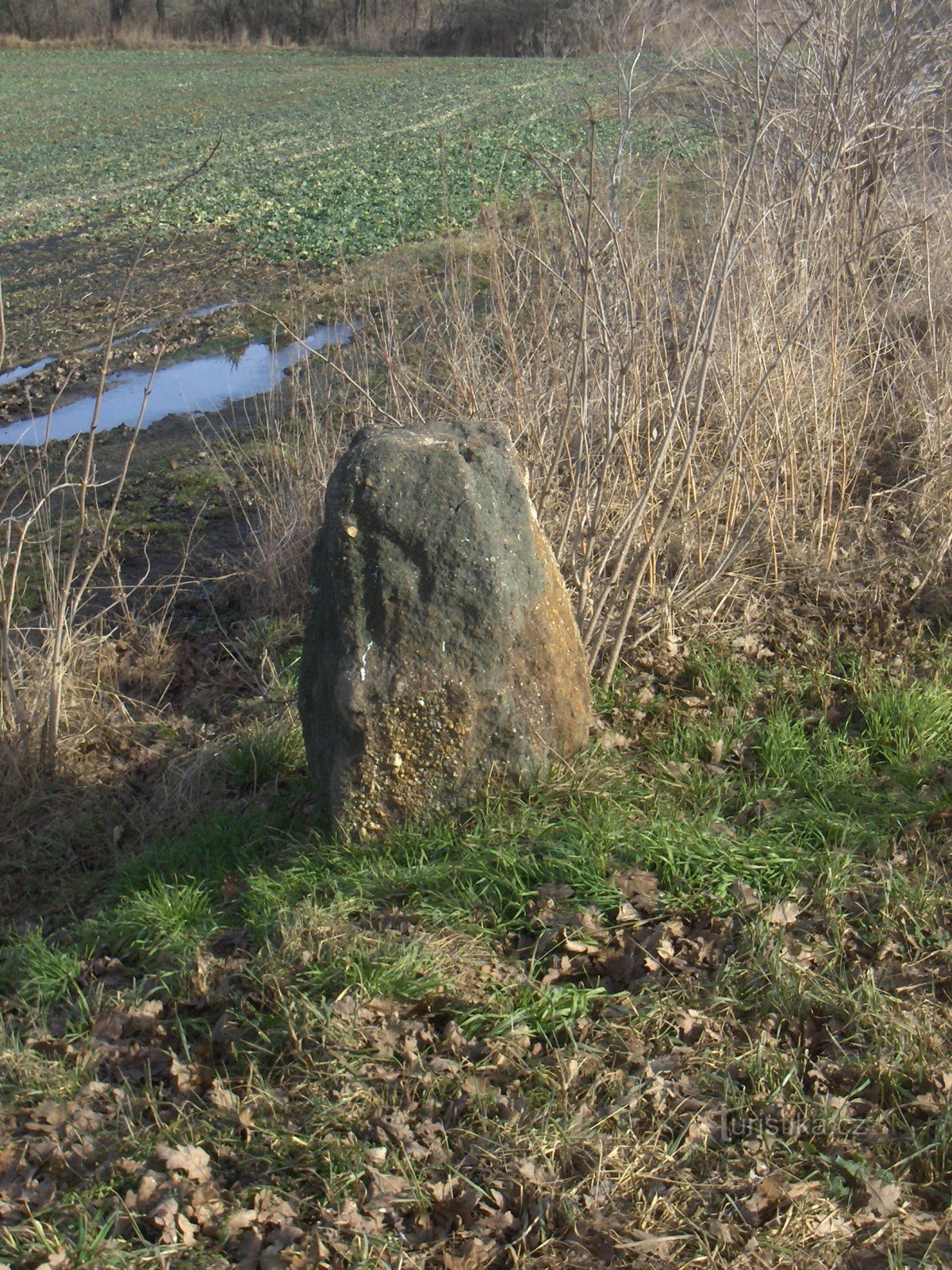 普热利采附近的石碑