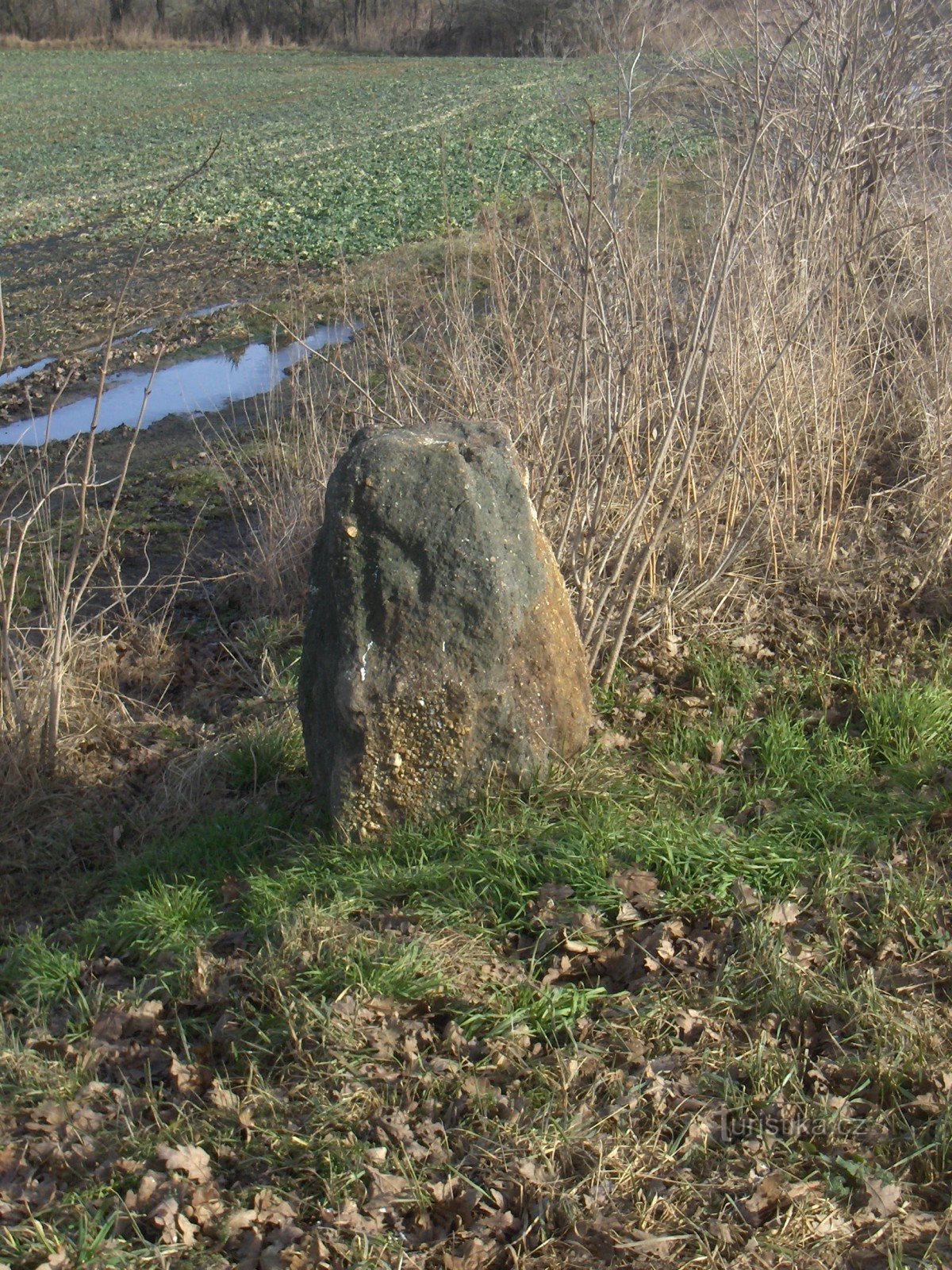 Menhirs κοντά στο Přelíce