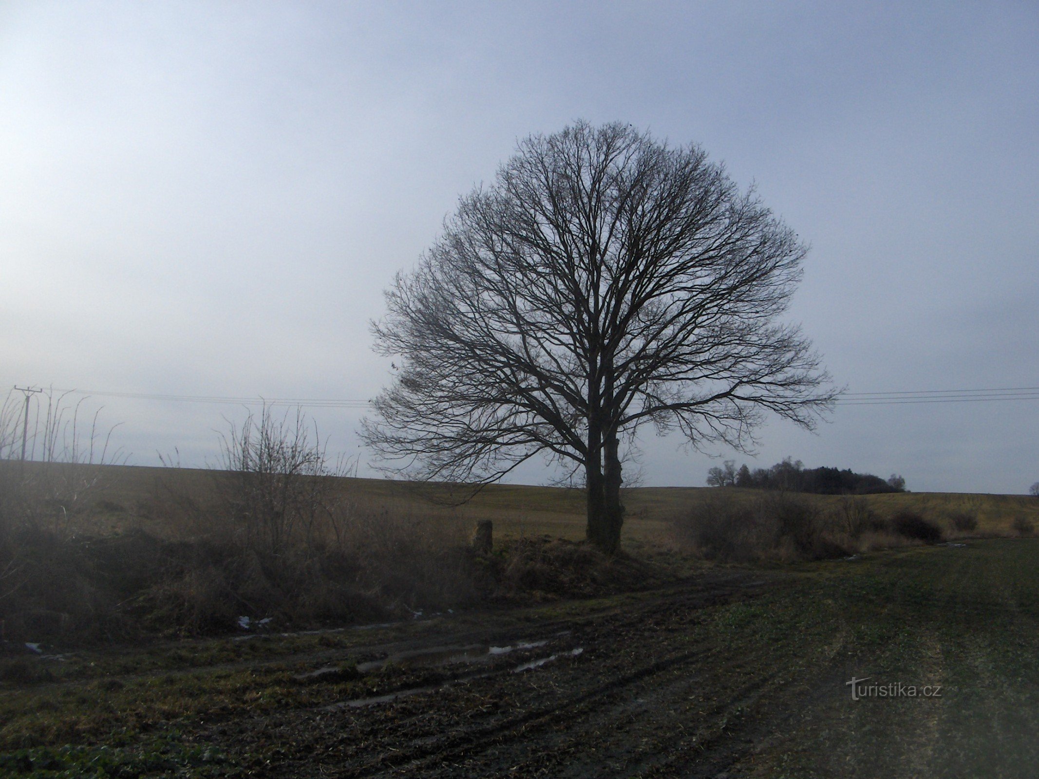 Menhir vicino a Přelíce