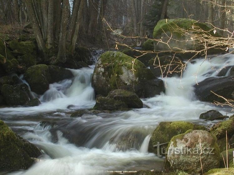 Menší Vltavice